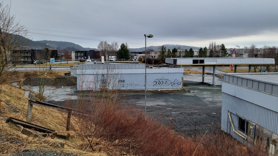 20250326_165659[1].jpg