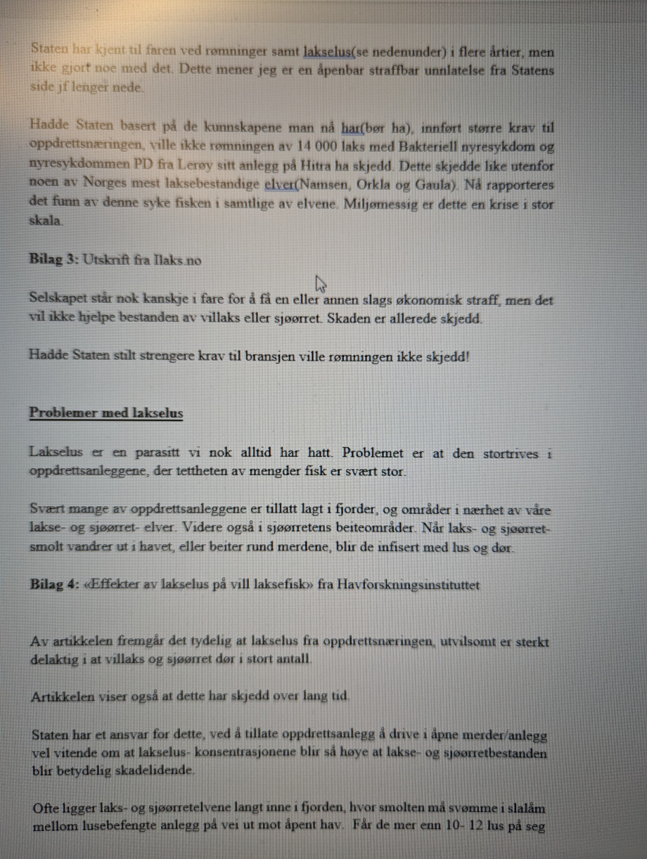 Bilde_4.jpg