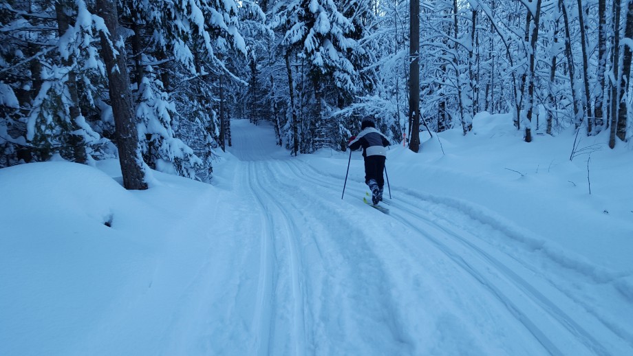 Lysløypa_i_Brekkeskogen.jpg