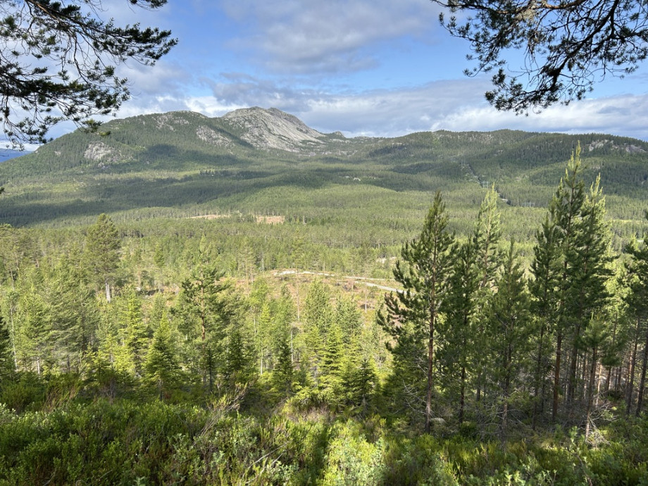 Planområde_frå_Åhomnuten_(1).jpeg
