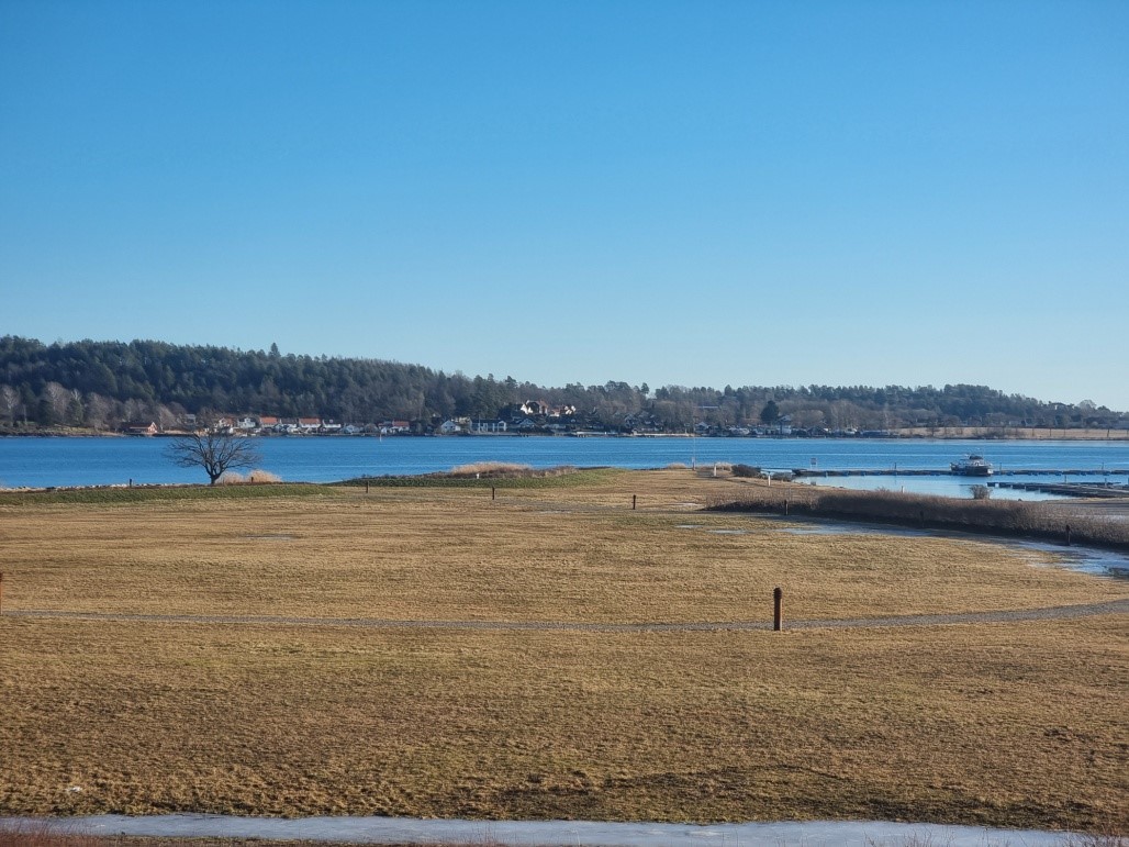 Rosanes_Hundepark-_friområdet.jpg