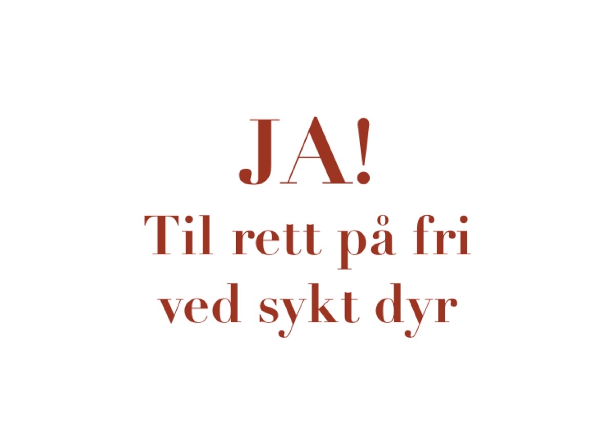 bilde8.jpg